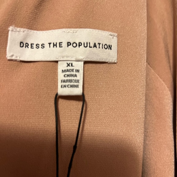 Dress The Population Blair Lace Sleeveless Sequin Dress - Picture 4 of 5